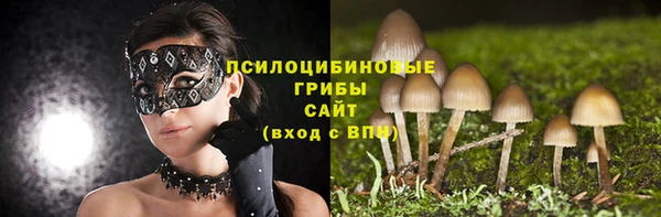 хмурый Богданович