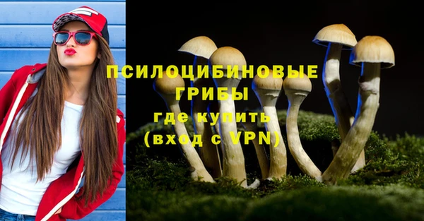 гашиш Бородино